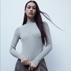 NWT Zara Fitted Knit Sweater